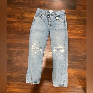 Agolde Riley High Rise Straight Crop